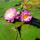 최고의선물 이미지