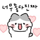 제철솜씨 이미지