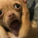 진로컴퓨터세탁 | 스물다섯