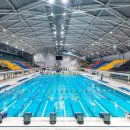 올림픽수영장 이미지