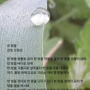 여기;한방울