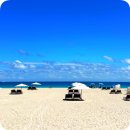 클럽마이애미 | 날씨 만족도 최상! 2월의 미국 플로리다 마이애미 비치 여행