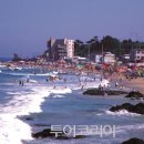 바다민원실 이미지