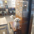 세븐일레븐 광교대학로점 이미지