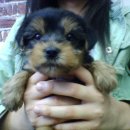 닥스 종합 이미지