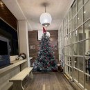 외동반림로 | 창원 가로수길 카페 페탈옹트라쎄 🌸 데이트 코스로 좋은 감성카페 직접 다녀온 후기