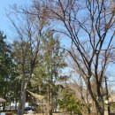 형제농원 이미지