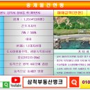 새천년 이미지