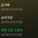 청량얘기 나와서 꼽사리..아스트로 데뷔초 노래 좋아함.. 이미지