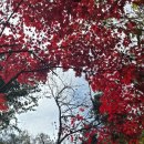 조안 농장 이미지