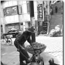 황태를 벗삼아 이미지