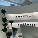 청담-139 | 강남 미용실 헤어스타일 추천 헤어컨설팅 아뉴헤어 청담본점 소윤실장 전체염색 후기