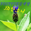 한국특장종합자동차공업(주) | 10.글로벌체제 미래혁신다각화 현대차