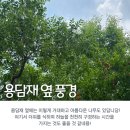 용담재 이미지
