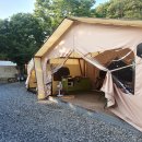 숲속캠핑장 이미지