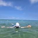 삼척해수욕장 | 강원도 해수욕장 추천, 폭 400m 백사장 삼척해수욕장 개장 파라솔 정보 후기