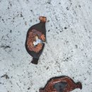 오토디앤알 이미지