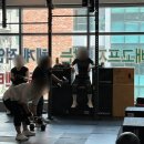 N 피티짐 이미지