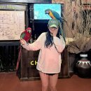 뉴월드관광나이트 | 푸꾸옥 자유여행 3박 5일 일정 호핑투어 빈펄 나이트 사파리 킹콩마트 쇼핑