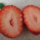 과일맛있고싼집 - 광산구 풍영로145번길 106 | 과일맛있고싼집
