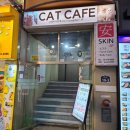 명동세탁 | [명동] 명동왁싱 초고수 어니언왁싱 후기👙✨️