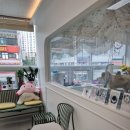 꼬씨와 펫살롱 이미지