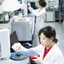 한국인삼공사 - 안동시 검무로 4-8 | 한국인삼공사