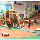 점보빌리지 이미지