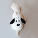 나의 댕댕이 이미지