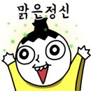 이천시 공설운동장 축구장 이미지