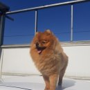 꽃개미용실 이미지