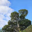 신평저수지 | 소외되고 아프고 힘든 이들의 극락 가는 길