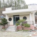 숲속에 아침 이미지