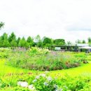 순천만국가정원 이미지