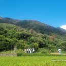 밀양시립박물관 이미지