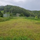 양평한울공인중개사사무소 | 산음천 자연휴양림 인근 토지 매매