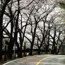 안민고개 쉼터 이미지