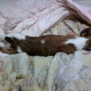 가양3동 이미지