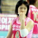 핑크 스파이더 이미지