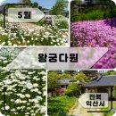 왕궁다원