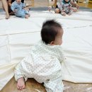 라라캔버스 | 이마트 문화센터 하월곡점 라라아트 후기(잭슨폴락 액션페인팅)