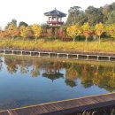 호수공원 수상무대섬 화장실 이미지