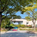 금사리공중화장실 | [국립중앙박물관]-서울 용산 가볼 만한 곳 : 아이와 가볼 만한 곳, 실내 데이트 추천 + 용산 어린이 정원