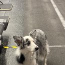 비트켄넬 이미지