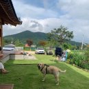 서가헌 한옥스테이 이미지