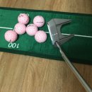 팬더스크린골프 이미지