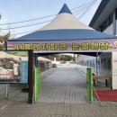 서울레저파크 어린이회관 눈썰매장 7살, 12살 방문 후기