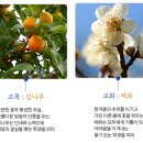 부산해마루학교 이미지