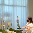 (주)고려플랜트 | 플랜테리어 원데이 클래스 후기모음