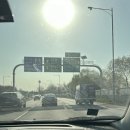 7350 | [임준일기] 일산마리아 나팔관 조영술 후기 / 나팔관 조영술 시기·통증·비용